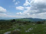 28. .... pa još jedan pogled na zeleno prostranstvo....
